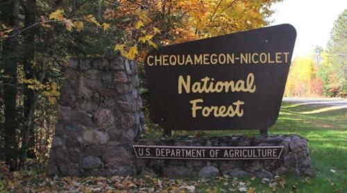 Chequamegon-Nicolet National Forest in Price County